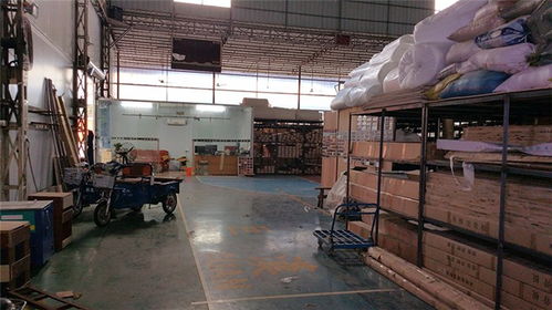 立美建材 專業(yè)運動館木地板生產(chǎn)商，品質(zhì)保障與高清展示